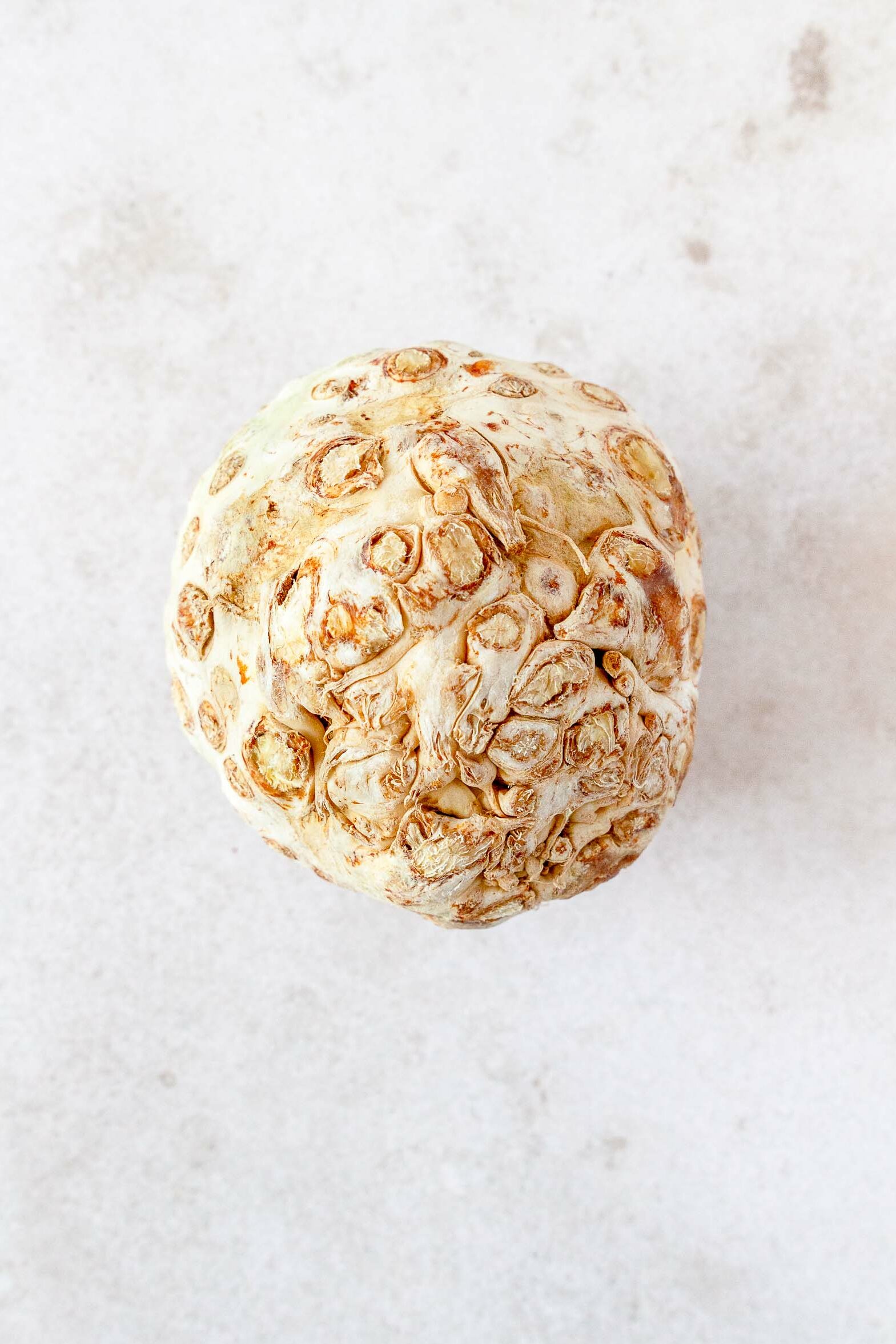 Celery Root (Celeriac)