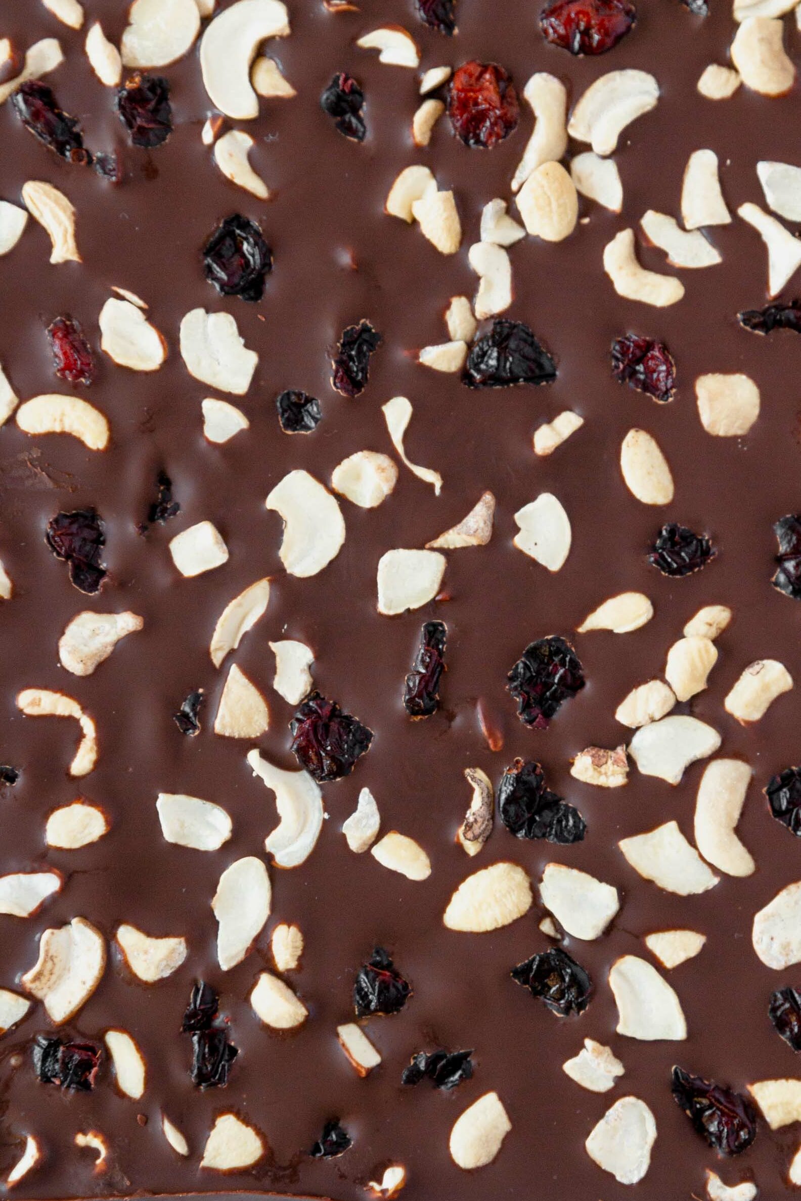 Cranberry Cashew Chocolate Bark