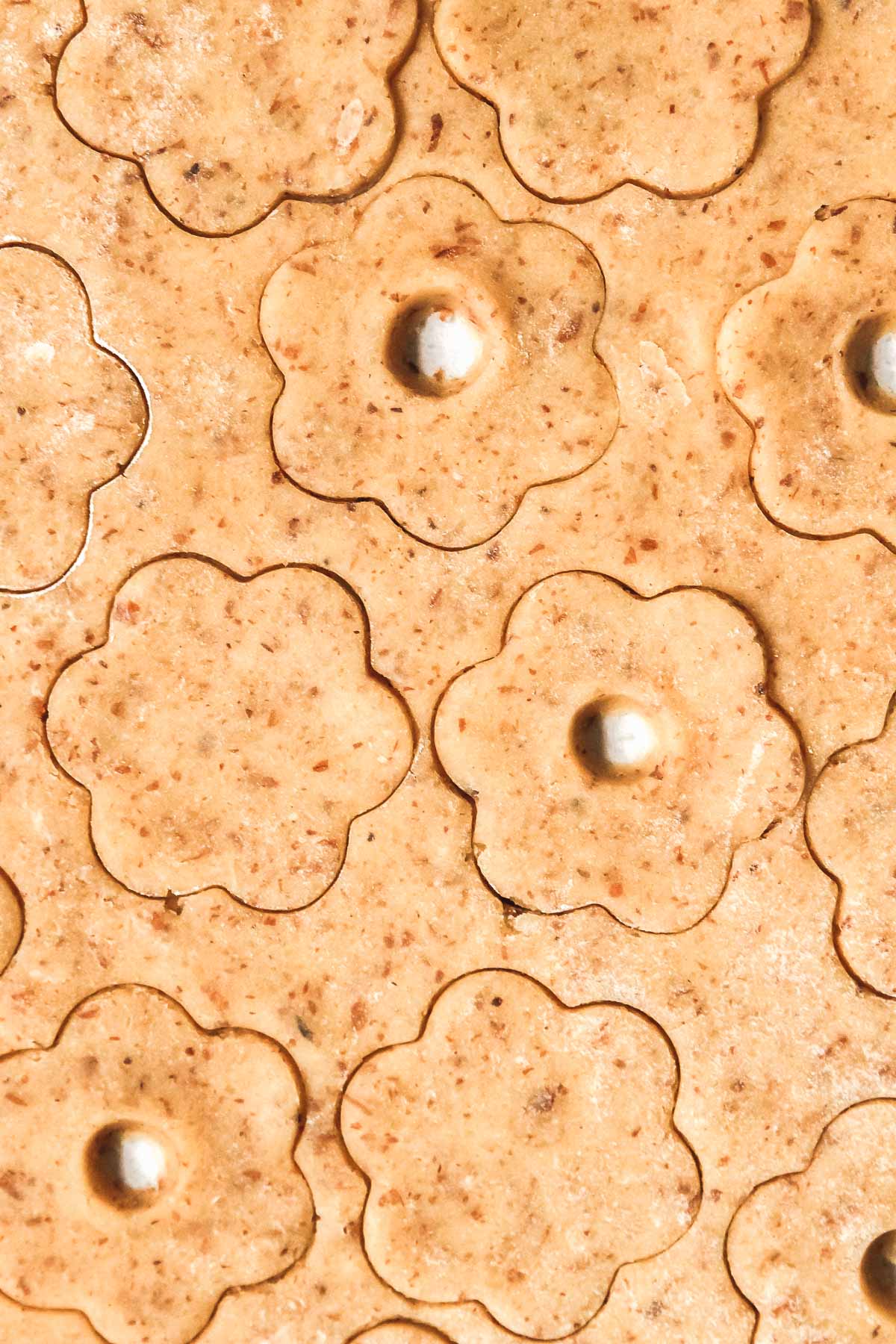 closeup of cut out linzer cookies before baking.