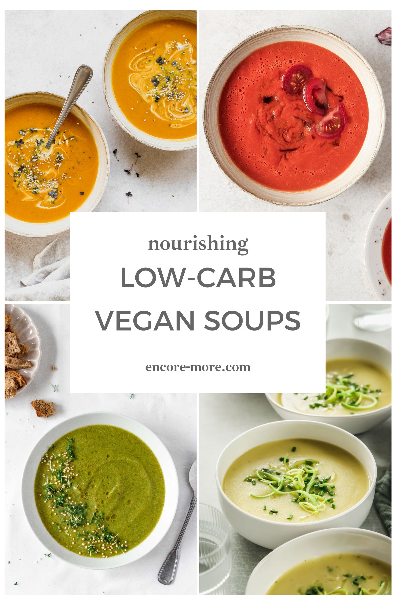 different vegan and low carb soups graphic with banner.