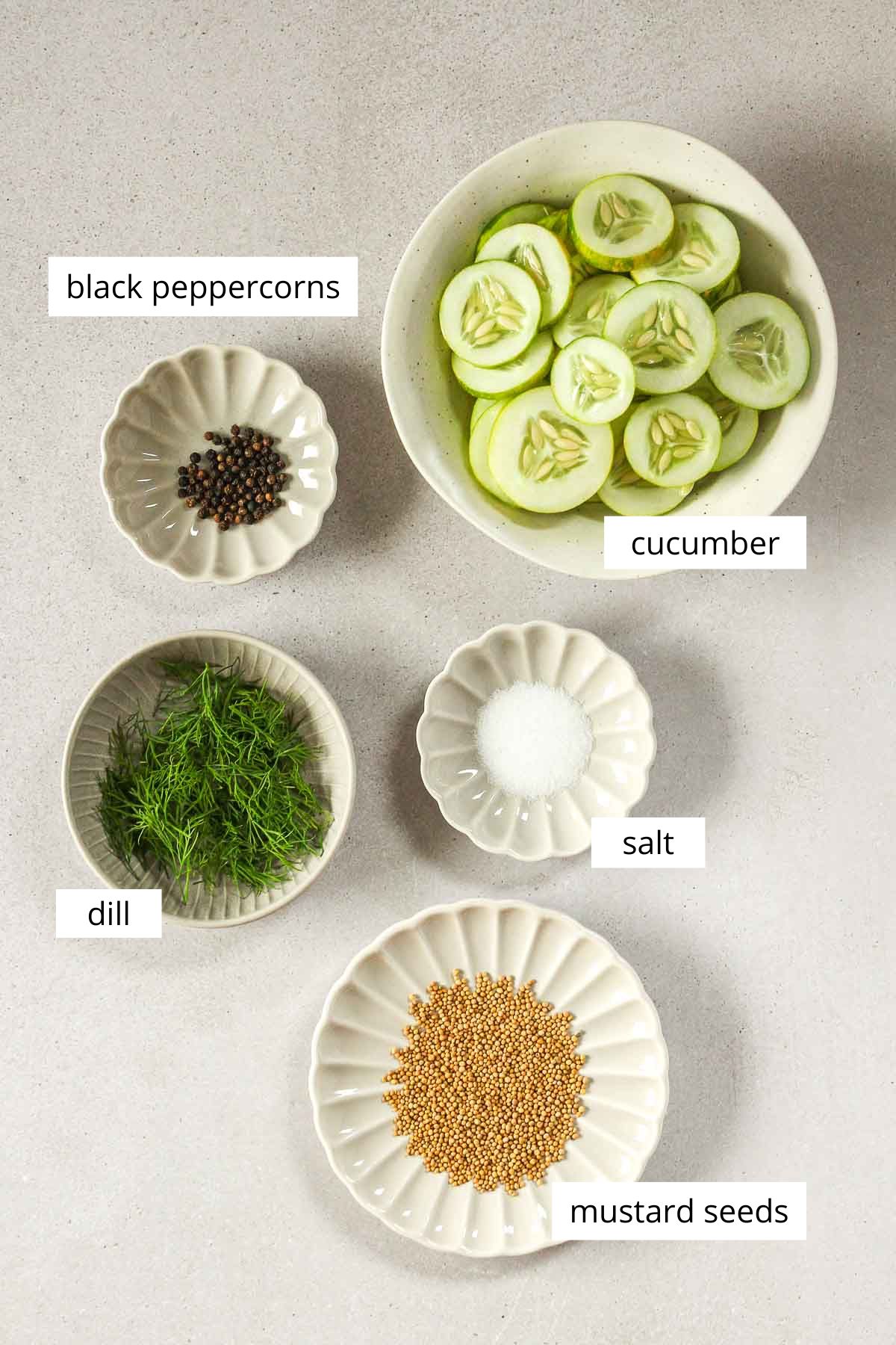 cucumbers, black peppercorns, salt, dill and mustard seeds in little bowls with labels.